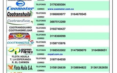 El Terminal de Transportes de Ibagué opera con personas Exceptuadas